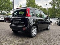 Neu Fiat Panda 69 PS (50 kW) 2025 Cinema schwarz Kleinwagen