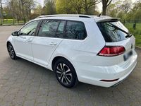 Gebraucht VW Golf VII IQ Drive 116 PS (85 kW) 2019 Weiß Kombi