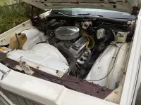 Gebraucht Chevrolet Caprice 311 PS (228 kW) 1979 Weiß Kombi