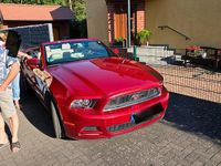 Gebraucht Ford Mustang 307 PS (225 kW) 2012 Cabrio