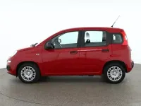 Neu Fiat Panda Connect 70 PS (51 kW) 2025 Passionredmet. Kleinwagen