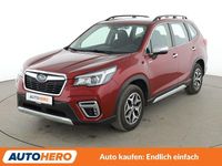 Gebraucht Subaru Forester Trend 150 PS (110 kW) 2020 Rot SUV