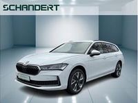 Neu Skoda Superb Selection 150 PS (110 kW) 2025 Weiß Kombi
