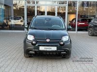 Neu Fiat Panda Cross 69 PS (50 kW) 2026 Forest green Kleinwagen