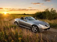 Gebraucht Mercedes SLK200 185 PS (136 kW) 2009 Grau Cabrio