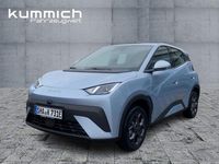 Neu BYD Dolphin Surf Boost 64 kW (88 PS) 2025 Blau Kleinwagen