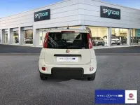 Neu Fiat Panda 69 PS (50 kW) 2025 Weiß Kleinwagen