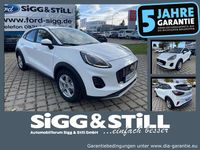 Gebraucht Ford Puma Titanium 125 PS (91 kW) 2024 Weiß Limousine