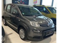 Gebraucht Fiat Panda 69 PS (50 kW) 2023 Colore esterno (colosseo grau) Limousine