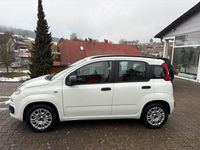 Gebraucht Fiat Panda 69 PS (50 kW) 2014 Weiss Kleinwagen