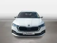 Gebraucht Skoda Octavia Style 116 PS (85 kW) 2023 Weiß Kombi