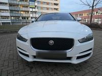 Gebraucht Jaguar XE 340 PS (250 kW) 2016 Weiß Limousine