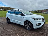 Gebraucht Ford Kuga ST-Line 150 PS (110 kW) 2019 Weiß SUV
