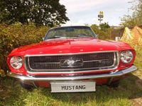 gebraucht Ford Mustang -Top Zustand und sogar mit Schaltgetriebe