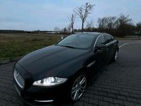 Gebraucht Jaguar XJ 275 PS (202 kW) 2011 Schwarz Limousine