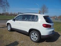 Gebraucht VW Tiguan 110 PS (80 kW) 2014 Weiß SUV