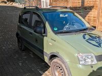 Gebraucht Fiat Panda 4x4 68 PS (50 kW) 2010 Grün Kleinwagen