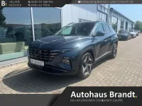 Gebraucht Hyundai Tucson Trend 265 PS (194 kW) 2021 Blau SUV