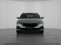 Usata Skoda Octavia Ambition 116 CV (85 kW) 2023 Argento Station wagon