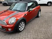 Occasion Mini Cooper Cabriolet 122 PK (89 kW) 2011 Oranje Cabriolet