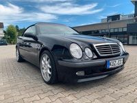 Gebraucht Mercedes CLK230 Elegance 193 PS (141 kW) 1998 Schwarz Cabrio