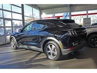 Gebraucht Ford Mustang 269 PS (197 kW) 2021 Schwarz Coupé