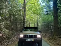 Gebraucht Jeep Cherokee 184 PS (135 kW) 1992 Grün SUV