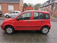 Gebraucht Fiat Panda 60 PS (44 kW) 2009 Rot Kleinwagen