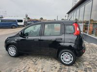 gebraucht Fiat Panda Hybrid