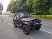 gebraucht Jeep Wrangler YJ Cabrio H-Kennzeichen Halbtüren Hardtop