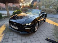 Gebraucht Ford Mustang GT 449 PS (330 kW) 2022 Schwarz Cabrio