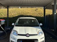 Gebraucht Fiat Panda Lounge 69 PS (50 kW) 2020 Weiß Kleinwagen
