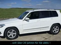Gebraucht Mercedes GLK200 143 PS (105 kW) 2014 Weiß SUV