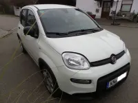 Gebraucht Fiat Panda 69 PS (50 kW) 2024 Weiß Kleinwagen