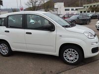 Gebraucht Fiat Panda Easy 69 PS (50 kW) 2020 Weiß Kleinwagen