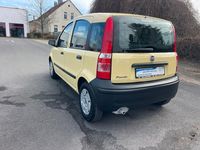 Gebraucht Fiat Panda Active 54 PS (39 kW) 2009 Gelb Kleinwagen