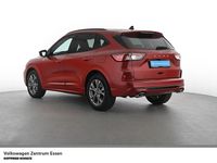 Gebraucht Ford Kuga ST-Line 150 PS (110 kW) 2023 Rot SUV