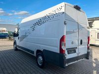 Gebraucht Fiat Ducato 177 PS (130 kW) 2014 Weiß Van