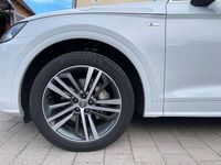 Gebraucht Audi Q5 Premium 252 PS (185 kW) 2020 Weiß SUV
