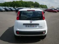 Neu Fiat Panda Pop 65 PS (47 kW) 2026 Weiß Kleinwagen