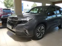 Neu Subaru Forester Platinum 136 PS (100 kW) 2026 Grau SUV