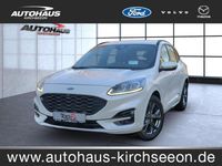 Gebraucht Ford Kuga ST-Line 150 PS (110 kW) 2023 Arktisweiß (metallic) SUV
