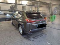 gebraucht Lexus UX 250h 250h