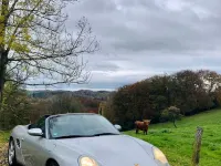 Gebraucht Porsche Boxster S 260 PS (191 kW) 2003 Silber Cabrio