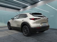 Gebraucht Mazda CX-30 Sky 186 PS (136 kW) 2024 Beige SUV