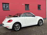 Gebraucht VW Beetle Cabriolet Karmann 105 PS (77 kW) 2015 Weiß Cabrio