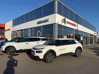 Gebraucht Citroën C4 Cactus Feel 110 PS (80 kW) 2020 Polarweiß Kleinwagen