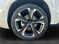 Neu Cupra Ateca 150 PS (110 kW) 2025 Weiss SUV