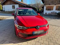 Gebraucht VW Golf VIII 116 PS (85 kW) 2022 Rot Kleinwagen