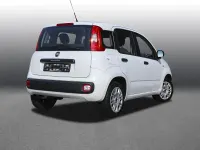 Gebraucht Fiat Panda Easy 69 PS (50 kW) 2019 Weiß Kleinwagen